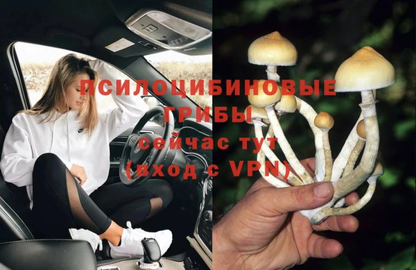 синтетический гашиш Горнозаводск