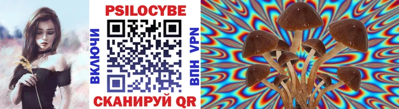 Купить  Киров  Галлюциногенные грибы Psilocybe 