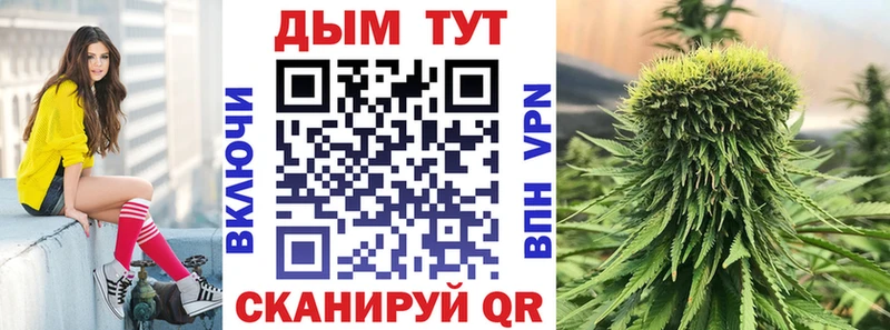 Канабис семена  Купить закладки  Киров 